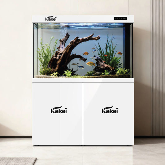 KAKEI AQUARIUM