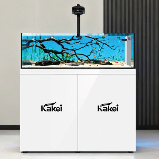 KAKEI AQUARIUM