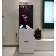 KAKEI AQUARIUM