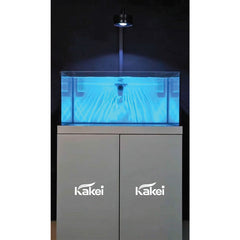 KAKEI AQUARIUM