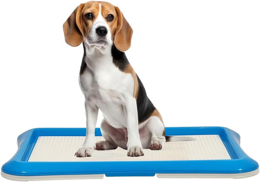 Dog potty training tray for Small to Medium dogs, Leak-proof puppy toilet with Removable grid and Non-slip bottom, Suitable for Indoor/Outdoor use, Easy to clean, 65 cm (Blue)