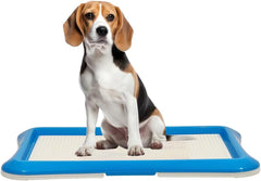Dog potty training tray for Small to Medium dogs, Leak-proof puppy toilet with Removable grid and Non-slip bottom, Suitable for Indoor/Outdoor use, Easy to clean, 65 cm (Blue)