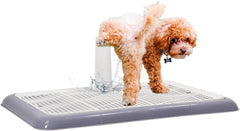 Dog potty training tray for small to medium dogs, Durable pee pad holder with Detachable pee post, Grid design, and Non-slip bottom, Ideal for training & daily use 50 cm