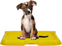 Dog toilet for Puppies and Small dogs, Durable plastic dog potty tray with Leak-proof design, Grid design, and Anti-slip bottom, Lightweight pet training tray for Indoor/Outdoor use 49 cm