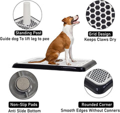 Dog potty training tray for small to medium dogs, Durable pee pad holder with Detachable pee post, Grid design, and Non-slip bottom, Ideal for training & daily use 50 cm