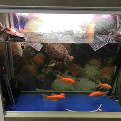 Turtle Tank Platform, Turtle Basking Platform Aquarium Animal Transparent Sink Wharf for small pet sun bathing resting, Reptile Habitat, Climbing shelf Floating Decor with Sucker Cap
