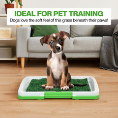 Puppy potty tray with 3-layer design, Odor-resistant mat, Grid, and Base tray, Artificial grass dog toilet for Indoor/Outdoor use, Ideal for Small dogs, Easy to clean, 47 cm (Green)