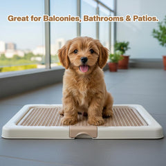 Dog potty training tray with Removable plastic grid and Non-slip base, Leak-proof dog toilet pad holder for Puppies & Small dogs, Indoor & Outdoor use, Easy to clean, 55 cm