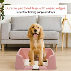 Dog potty training tray with Raised walls and Removable grid, Leak-proof puppy toilet pad holder for Small to Medium dogs, Indoor & Outdoor use, Easy to clean, 43 cm