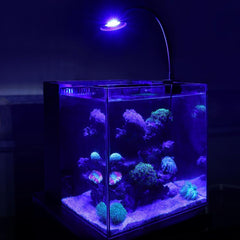 30W Clip On Reef LED Light for Saltwater Aquarium, Full Spectrum Marine Lighting with Adjustable Brightness and 3 Timer Modes, Coral Nano Tank Lamp for Aquatic Plants and Reef Coral Growth