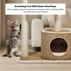 2-Tier Cat tree tower with Handwoven seagrass basket perch, Cozy Condo, and Sisal Scratching Posts, Modern Cat Furniture for Indoor Cats & Kittens, Multi-Level Activity Center