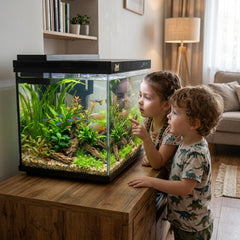 Smart fish tank, Ultra-clear glass nano aquarium with Silent Water Pump, Built-in Top Filtration, Multi-Color Lighting, and Integrated Digital Temperature Panel, Ideal for home & Offices (Black)