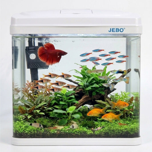 JEBO Small Desktop Aquarium Fish Tank with Built-In Top Filter and Submersible Water Pump, White Mini Nano Glass Tank Starter Kit for Betta, Guppies, and Shrimp