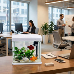 JEBO Desktop Glass Aquarium Starter Kit, 15L Small Fish Tank with Built-In Filtration System, Water Pump, and LED Light Hood for Betta, Goldfish, and Shrimp, White