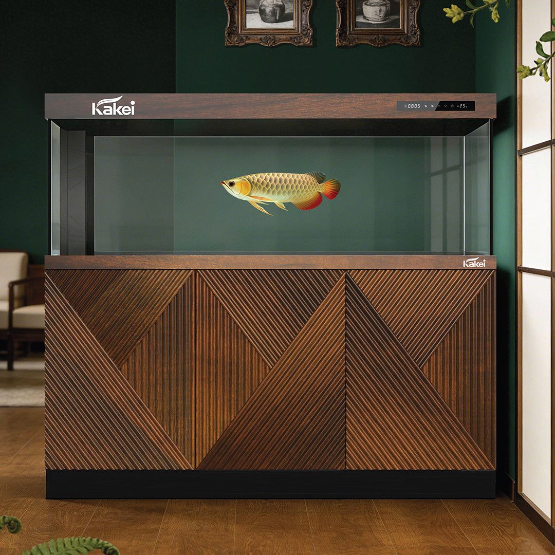 KAKEI AQUARIUM