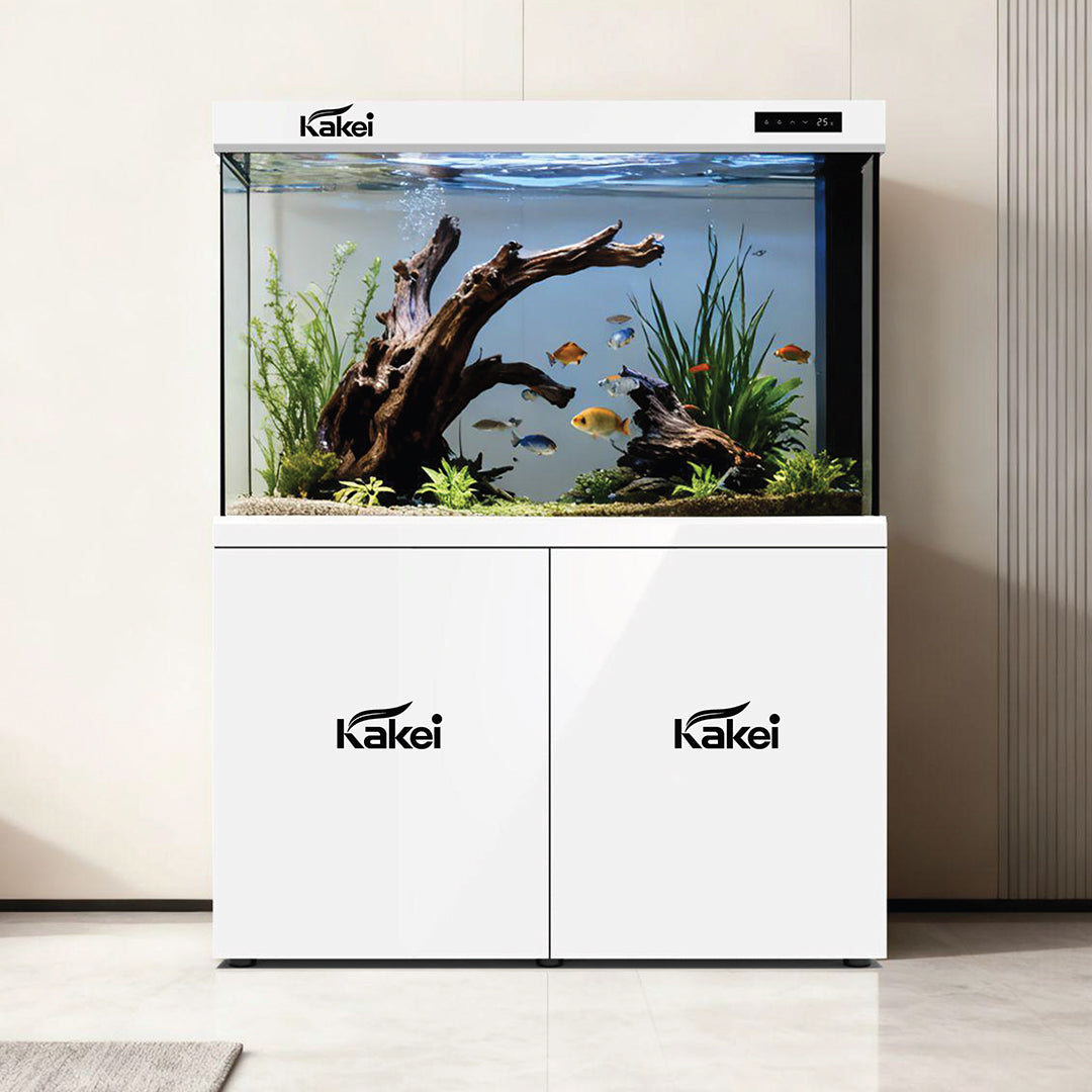 KAKEI AQUARIUM