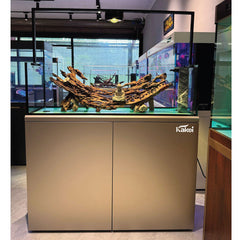 KAKEI AQUARIUM