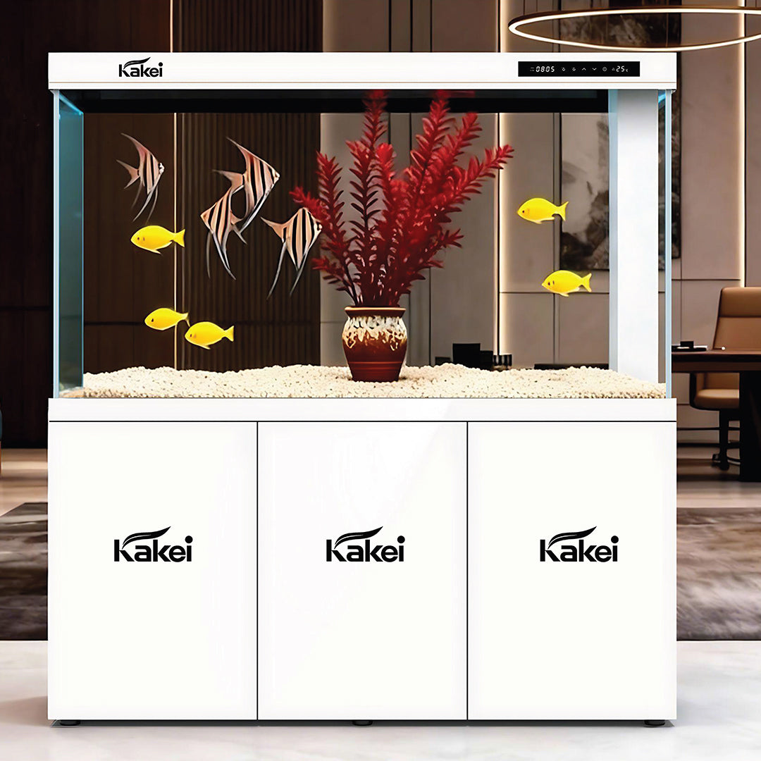 KAKEI AQUARIUM