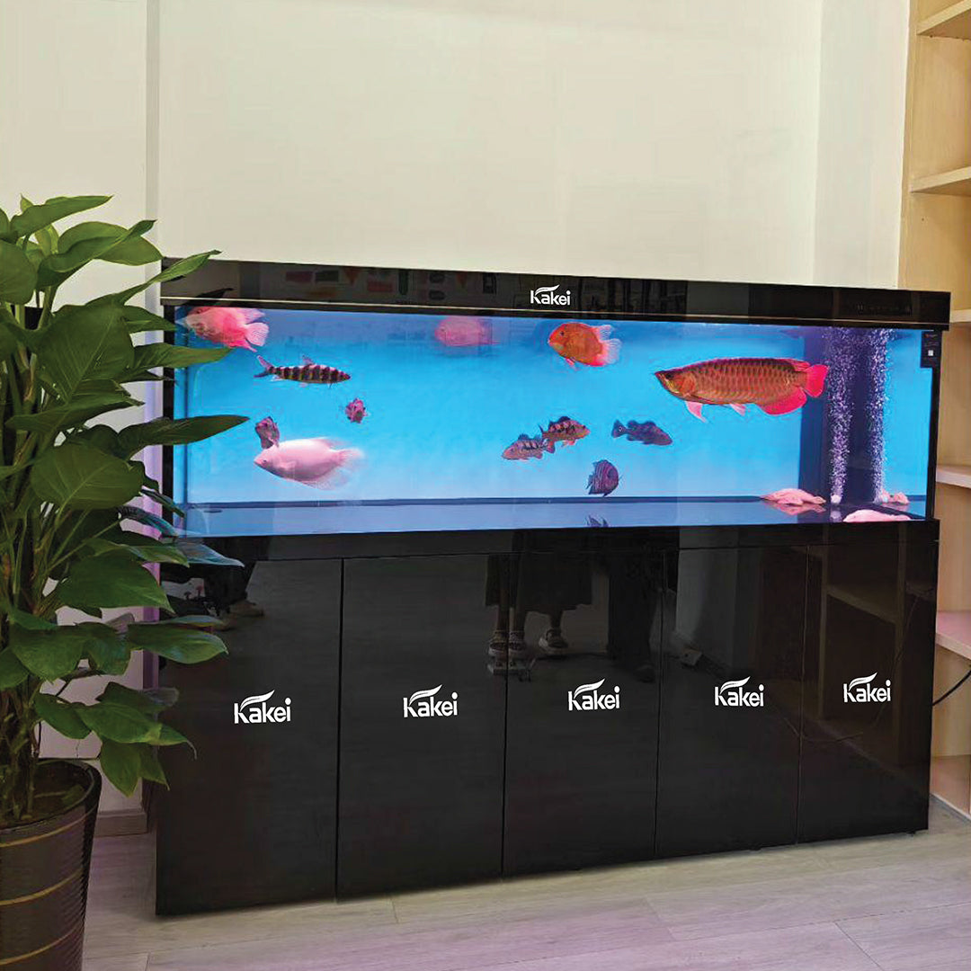 KAKEI AQUARIUM