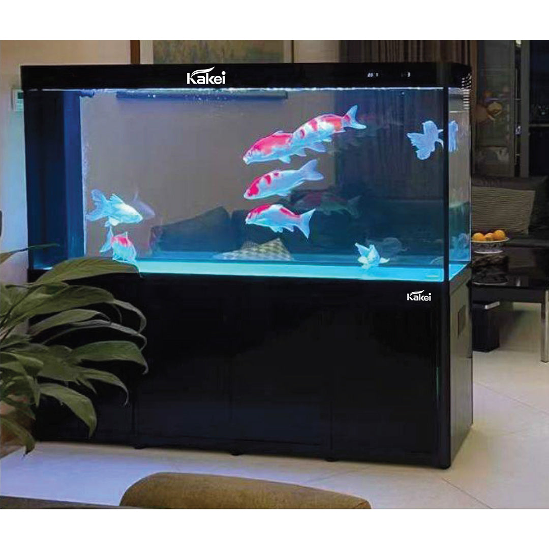 KAKEI AQUARIUM