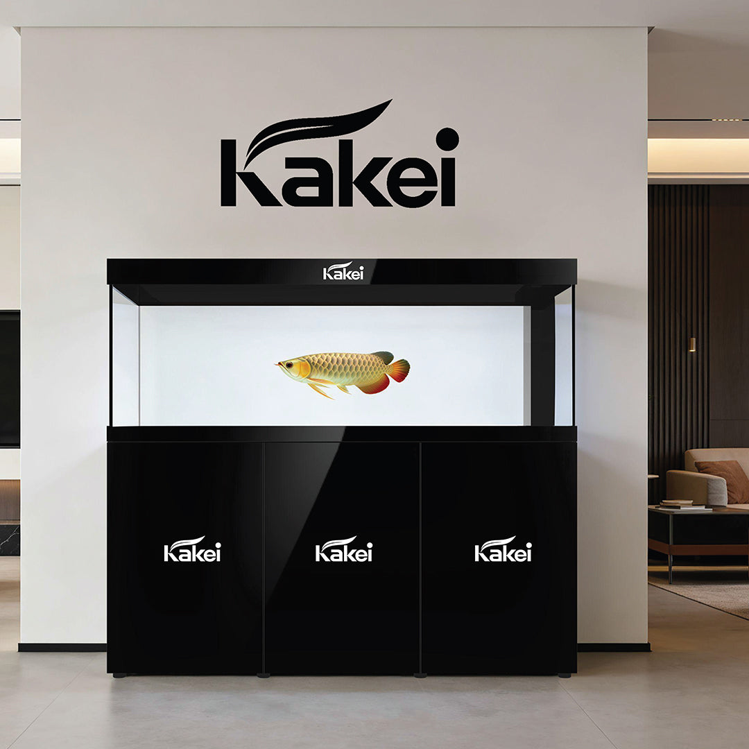 KAKEI AQUARIUM