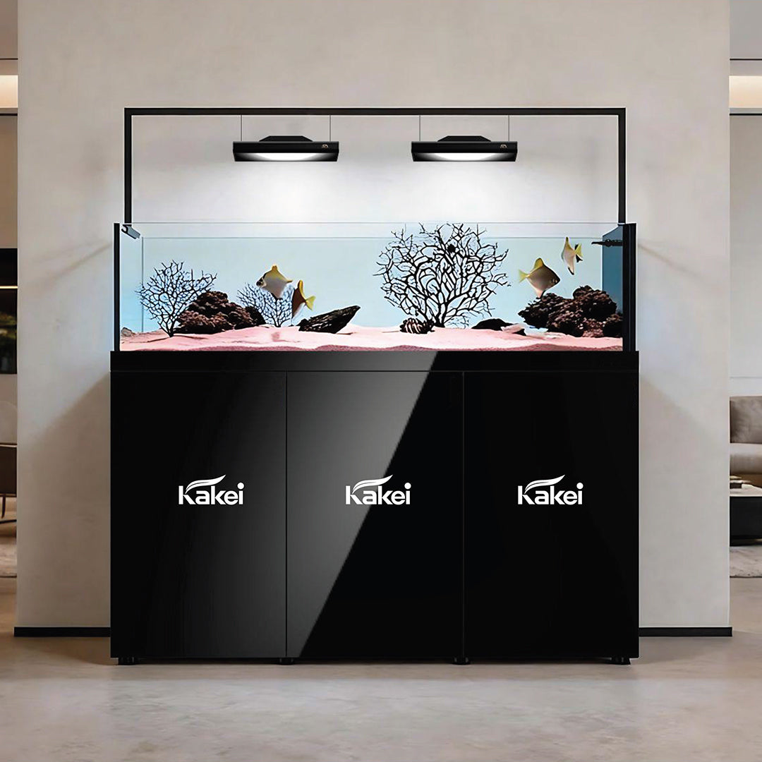 KAKEI AQUARIUM