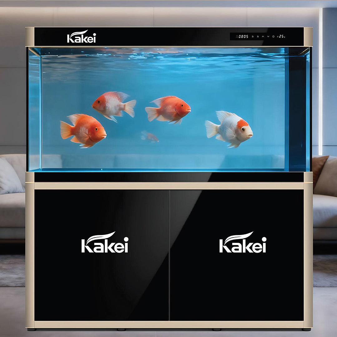 KAKEI AQAURIUM
