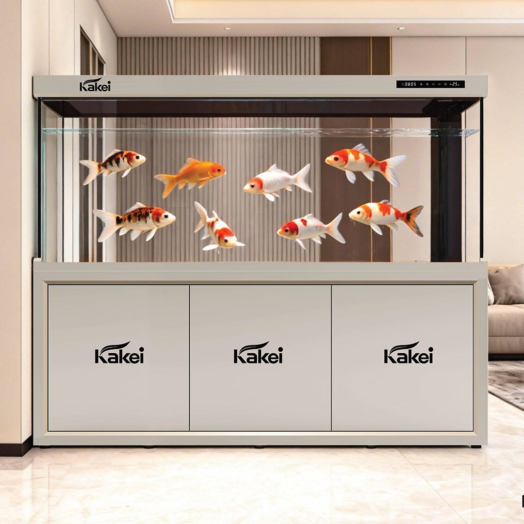 KAKEI AQUARIUM
