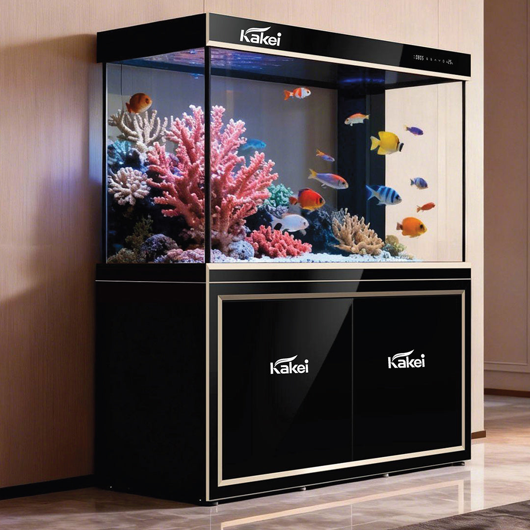 KAKEI AQUARIUM