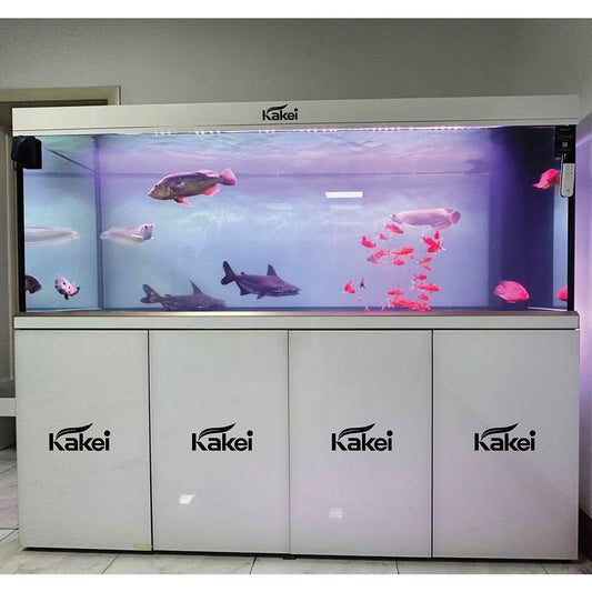 KAKEI AQUARIUM
