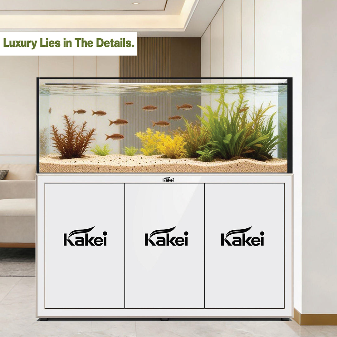 Kakie Aqualium