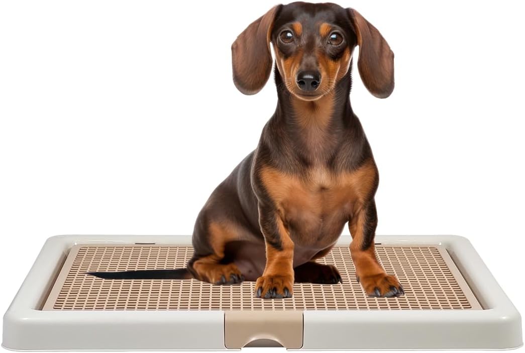 Pet training toilet for small to medium breeds, Durable plastic dog toilet with Detachable design and Anti-slip bottom, Ideal for indoor and outdoor use, Keep paws and floor clean 66 cm