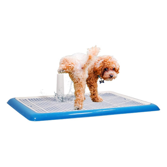Dog training pads pet toilet for All-sized breeds, Durable plastic construction with Grid pattern, Detachable Pee Post, and Non-slip bottom, keeps paws dry & floor clean, 65 cm (Blue)