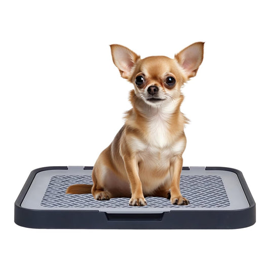 Flat dog training tray with Detachable grid pads holder, Handle design, and Non-slip base, Dog toilet for Small to medium dogs, Can be used both Indoor/Outdoor, 50 cm (Navy-Blue)
