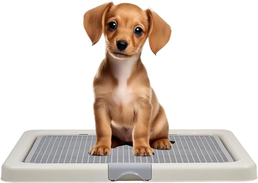 Dog potty training tray with Removable plastic grid and Non-slip base, Leak-proof dog toilet pad holder for Puppies & Small dogs, Indoor & Outdoor use, Easy to clean, 55 cm