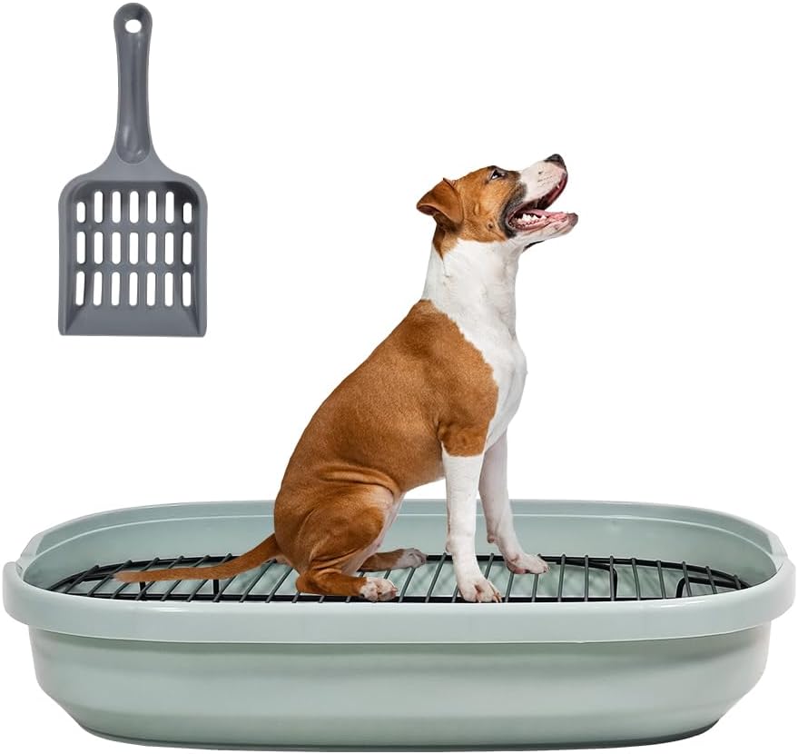 Dog training tray, Splash-proof dog toilet with Stainless steel grid, Raised design, and Litter scoop, Durable plastic dog tray for small to medium dogs, Keep paws dry & Floor clean 47 cm