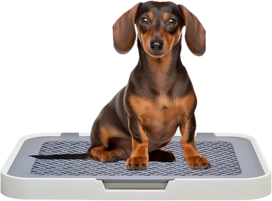 Flat dog toilet for small to medium dogs, Detachable dog training tray with Detachable grid pads holder, Handle design, and Non-slip base, Ideal for Indoor/Outdoor use, 50 cm