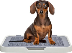 Flat dog toilet for small to medium dogs, Detachable dog training tray with Detachable grid pads holder, Handle design, and Non-slip base, Ideal for Indoor/Outdoor use, 50 cm