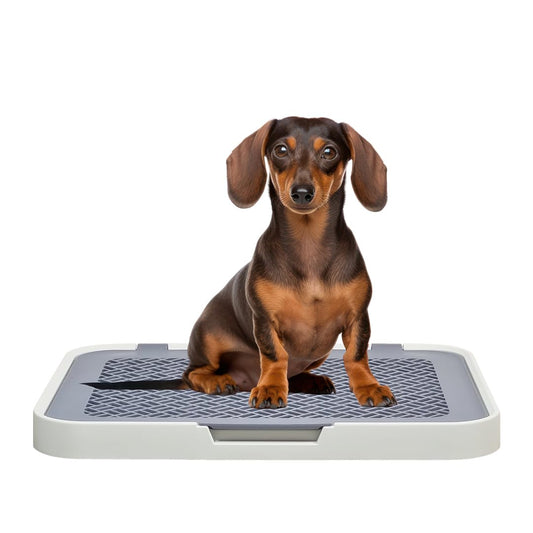 Flat dog training tray with Detachable grid pads holder, Handle design, and Non-slip base, Dog toilet for Small to medium dogs, Can be used both Indoor/Outdoor, 50 cm (White)