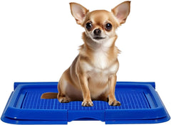 Dog toilet for Puppies and Small dogs, Durable plastic dog potty tray with Leak-proof design, Grid design, and Anti-slip bottom, Lightweight pet training tray for Indoor/Outdoor use 49 cm
