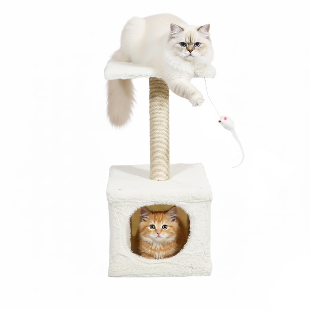 Modern cat tower with Hideaway cave and Hanging ball, Space saving design, Easy to fix and Portable, 59 cm Cat activity tree with Scratching pole, Protect furniture for Indoor cats and kittens