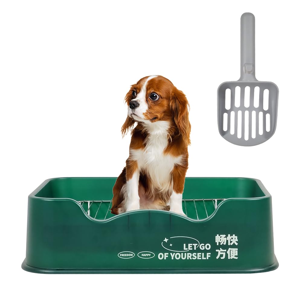 Dog potty training tray with Removable stainless steel grid, Durable PP material, Litter scoop, and Non-slip pads, Leak-proof dog toilet for small to medium breeds, 52 cm (Green)