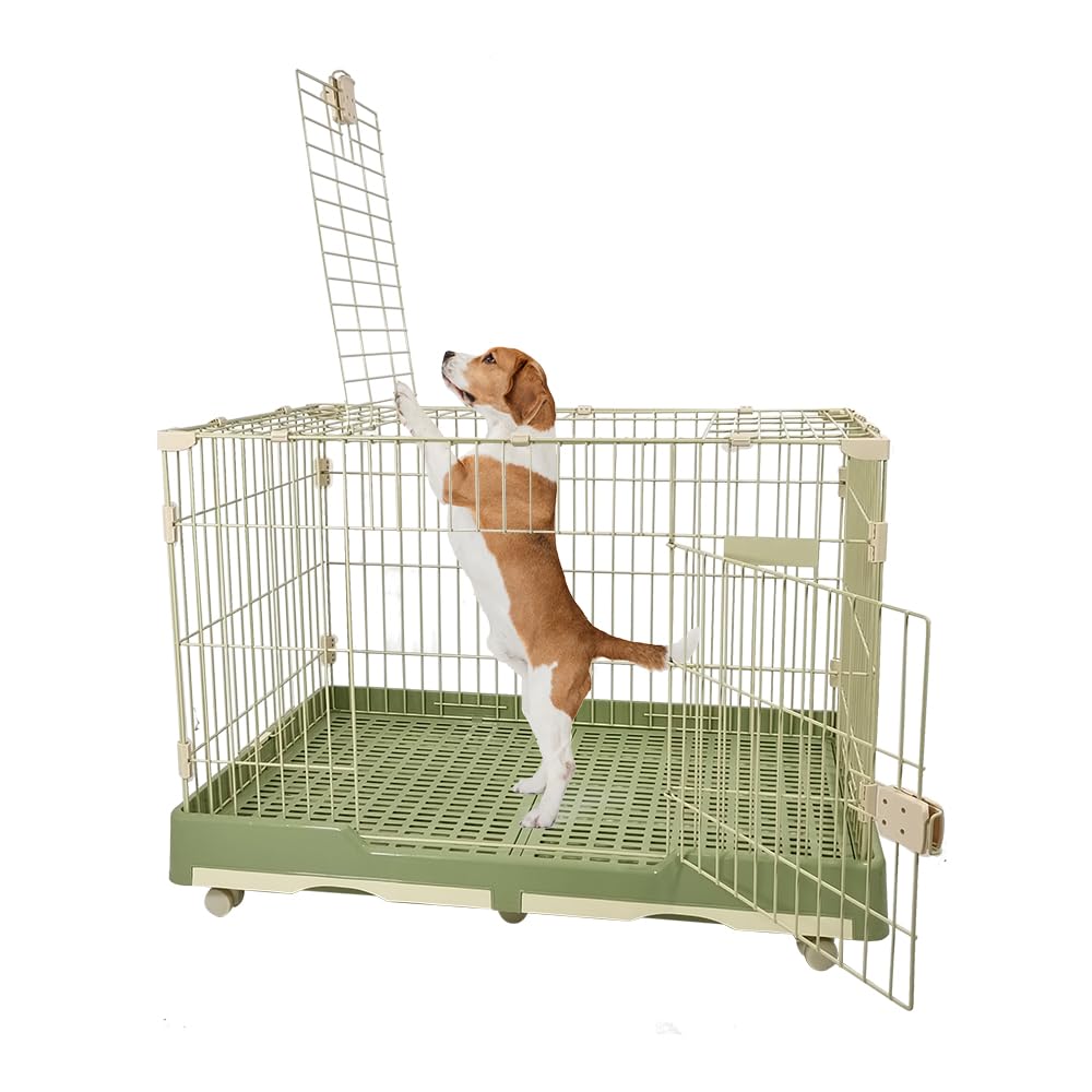 Pet Cage for Cat & Dogs | Dog Cage Playpen with Open-Top Design, Metal Wire, Lockable Door, Removable Tray & Universal Wheels | Ideal for Indoor/Outdoor | Easy to Assemble (Green, Large - 100 cm)