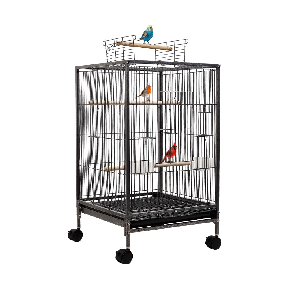 Bird cage with Open-top design, Wooden perches, Food bowls, Removable tray, and Universal wheels, Durable wrought iron bird cage for Lovebirds, Canaries, and Budgies, Easy assembly, 79 cm (Black)