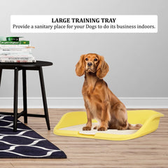 Dog potty training toilet with Raised fence, Column design, and Grid design, Detachable dog toilet for medium to large breeds, Ideal for indoor & outdoor use, Easy to clean 55 cm