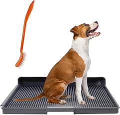 Dog potty training toilet with Brush, Carry handle, Urine tank, and Non-slip pads, Durable plastic dog toilet for small to medium dogs, Flat panel design, Ideal for indoor & outdoor 58 cm (Grey)