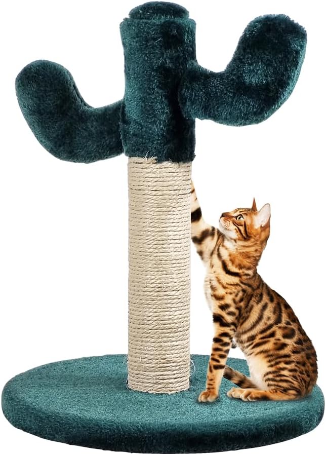 Cat tree scratcher with Cactus shape design, Sisal scratching post, and Sturdy base, Durable cat tree activity center for small cats & kittens, Ideal for indoor use, Easy assembly 40 cm (Green)