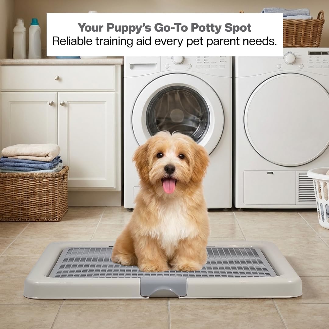 Dog potty training tray with Removable plastic grid and Non-slip base, Leak-proof dog toilet pad holder for Puppies & Small dogs, Indoor & Outdoor use, Easy to clean, 55 cm