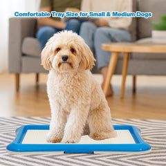 Dog potty training tray for Small to Medium dogs, Leak-proof puppy toilet with Removable grid and Non-slip bottom, Suitable for Indoor/Outdoor use, Easy to clean, 65 cm (Blue)