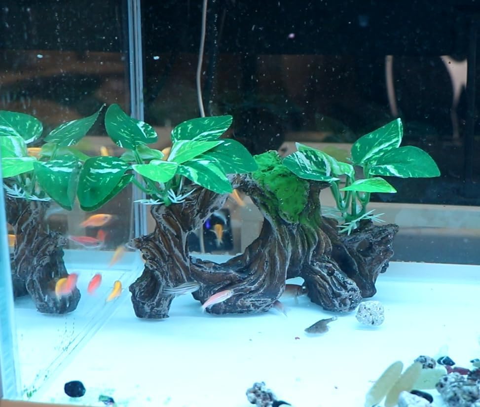 Aquarium Driftwood for Fish Tanks & Reptile Terrariums, Safe Fish Tank Decoration, Easy to Clean Aquarium Decor Accessories, Betta Fish Tank (6.4“*4”*2.4“)